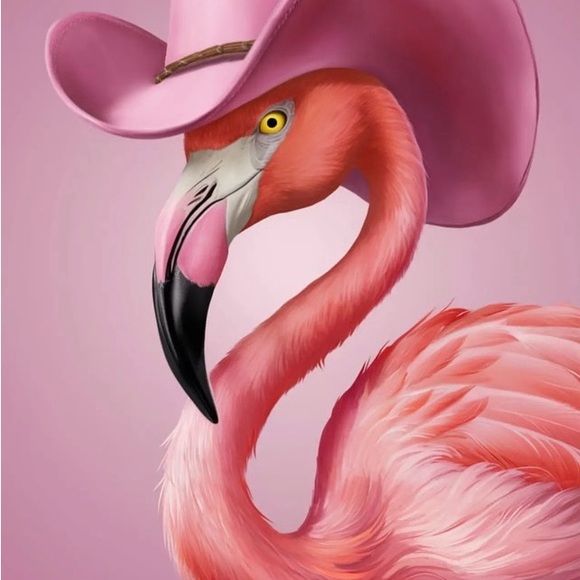 HATS! Check them out at www.theflirtyflamingo.com - Picture 1 of 6